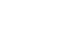 PP19