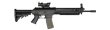 sg556